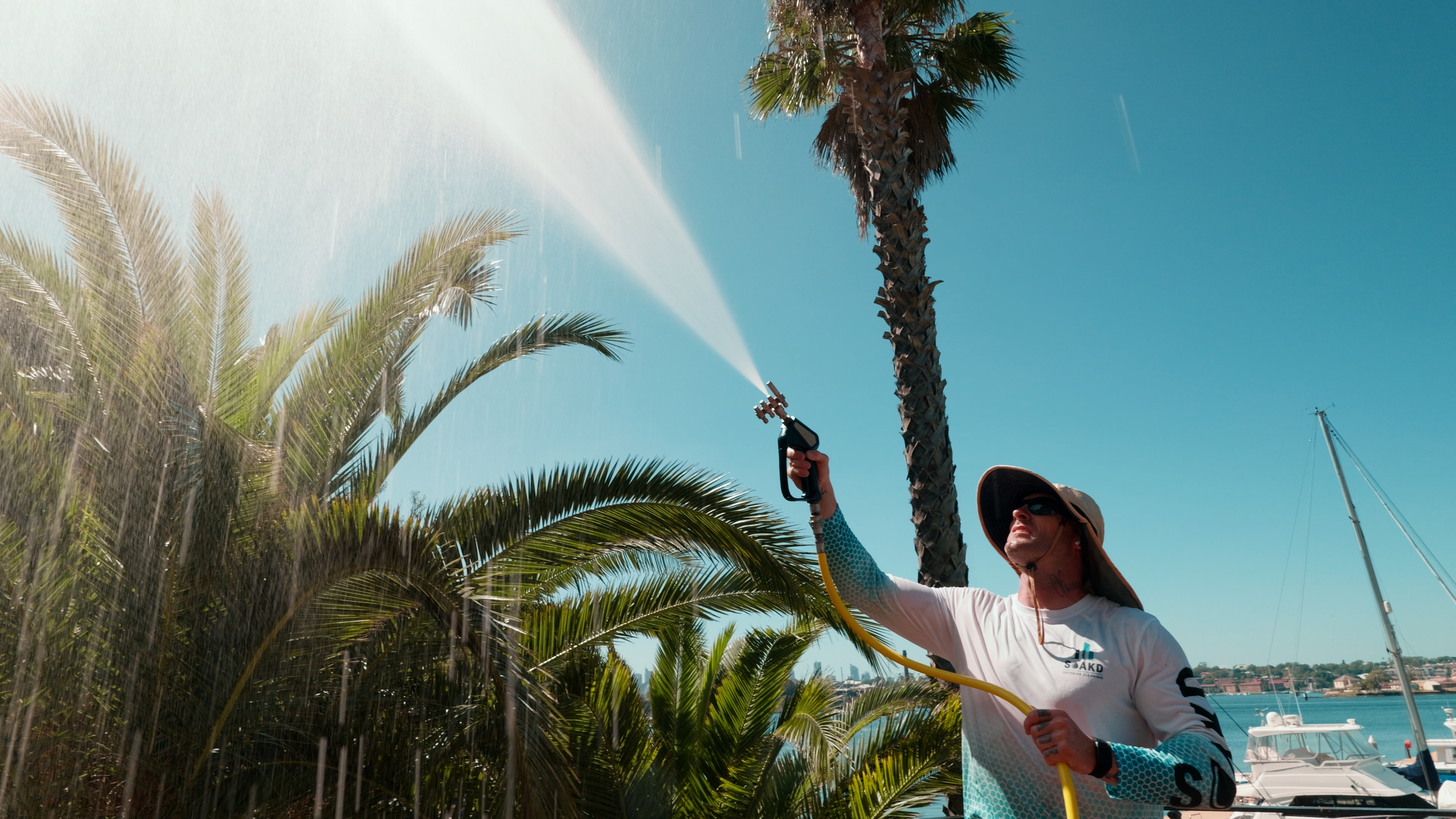 SOAKD operator softwashing palm trees and exterior foliage at a coastal marina property as part of a scheduled maintenance program
