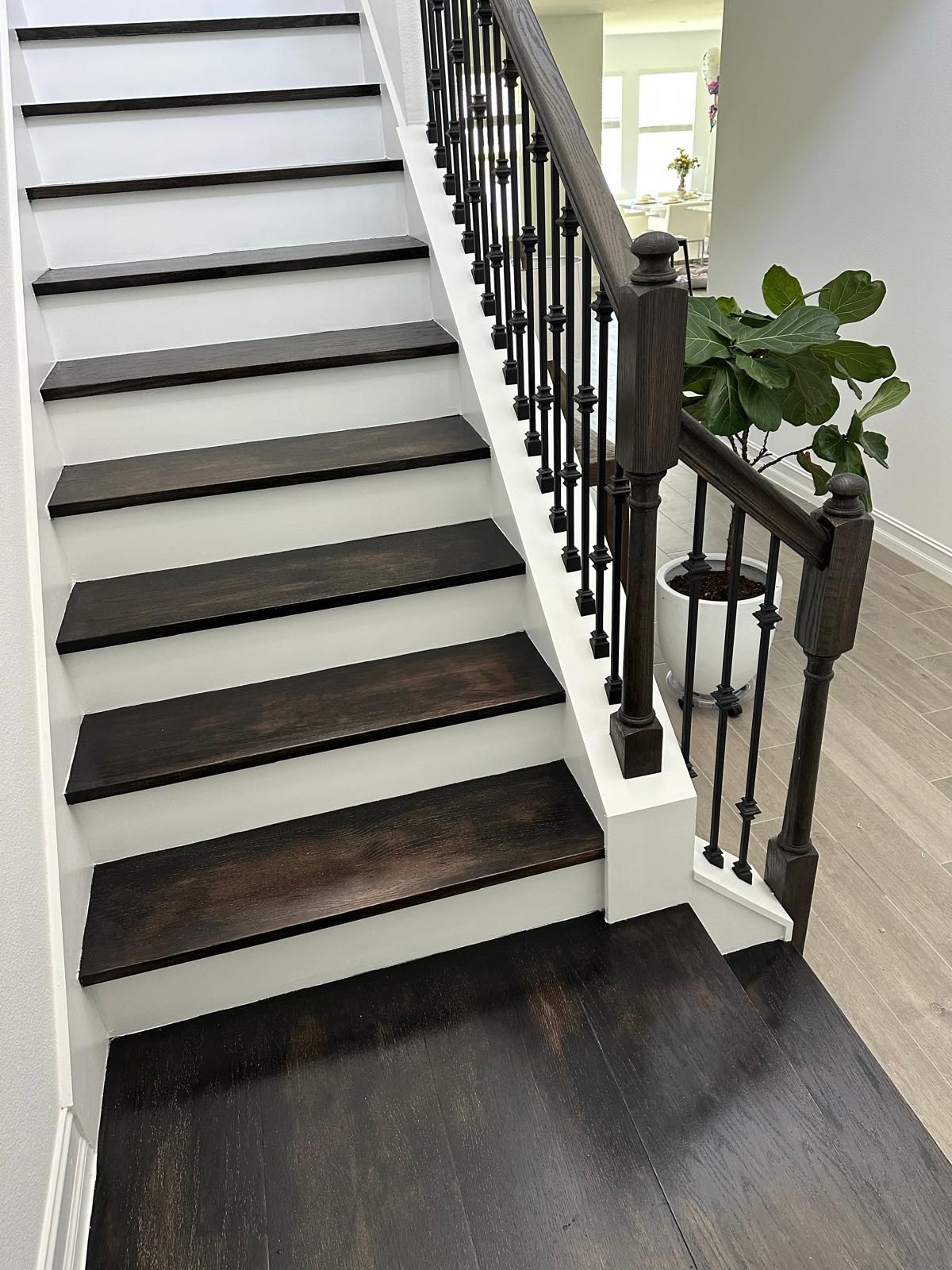 kitchen renovation Wesley chapel