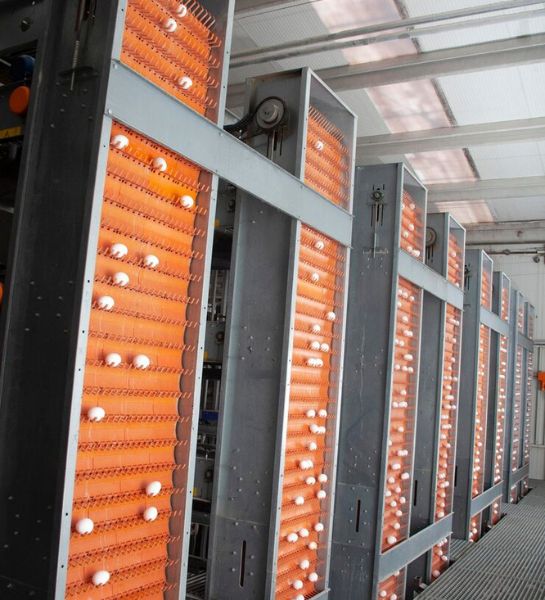 Tampa storage systems