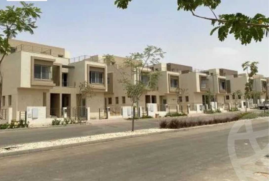 الشارع والمباني المحيطة