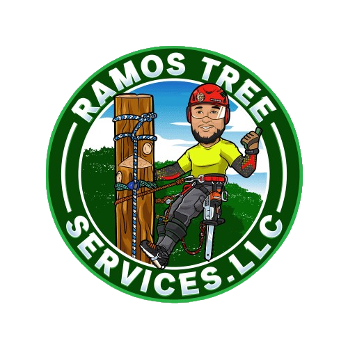 Tree Removal in Bastrop