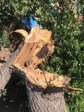 Emergency Services in Bastrop