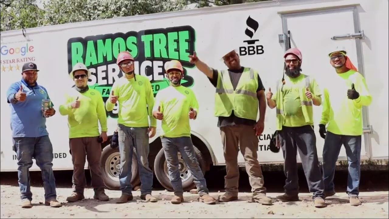 Tree Removal in Bastrop