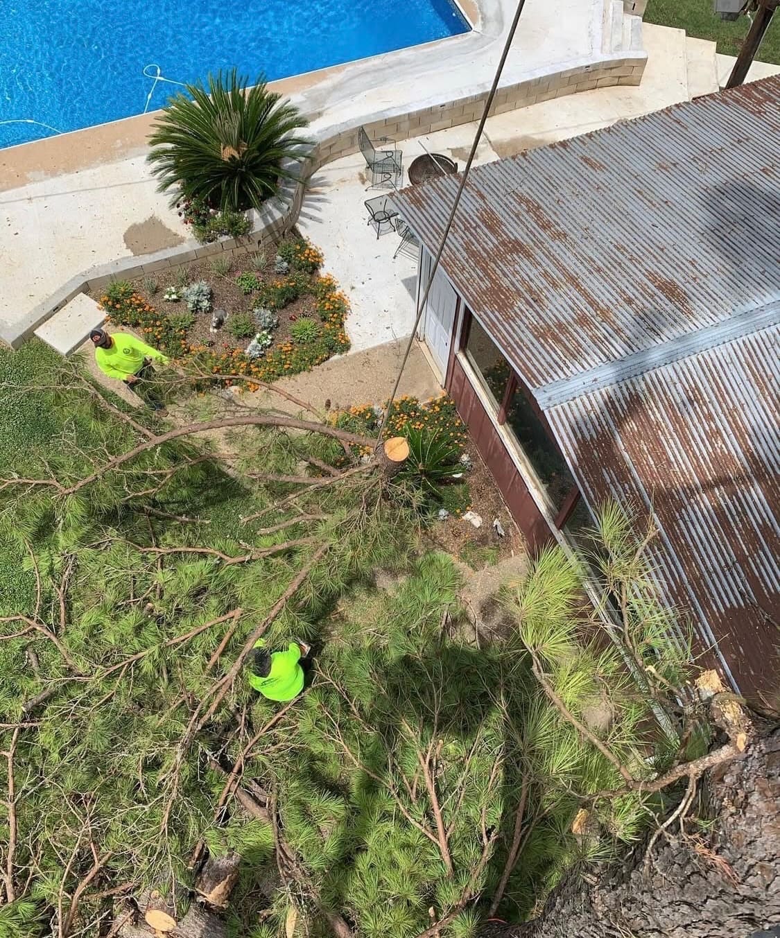 {{ custom_values.service_1 }} in {{custom_values.biz_area_1})