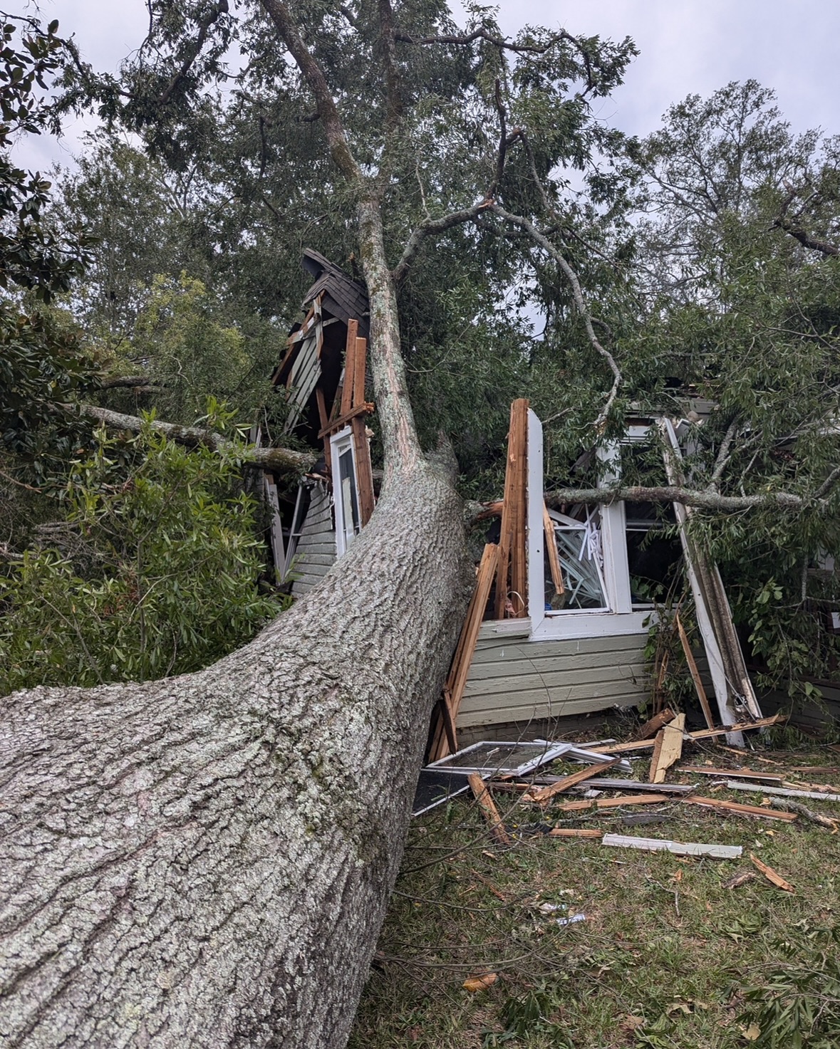 Tree removal services in Greenwood SC