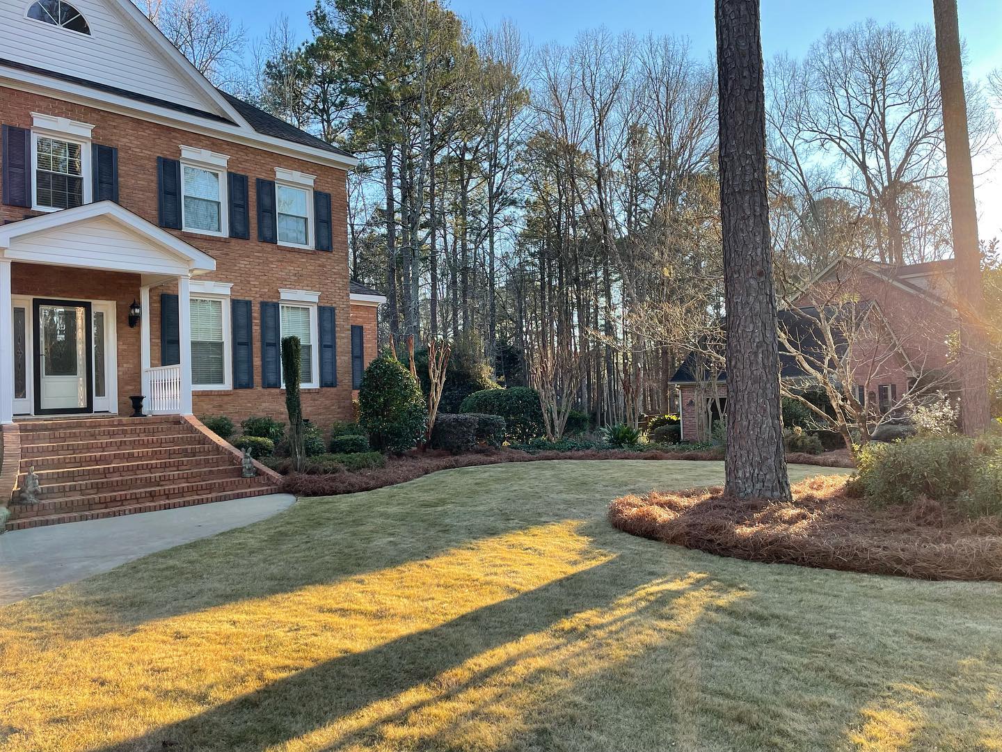 Landscape design and planting