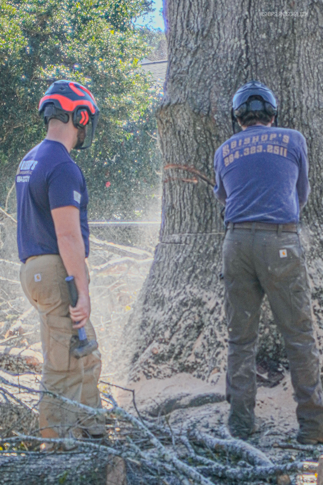 Bishop's Landscape crew working on a tree removal project in Greenwood, SC