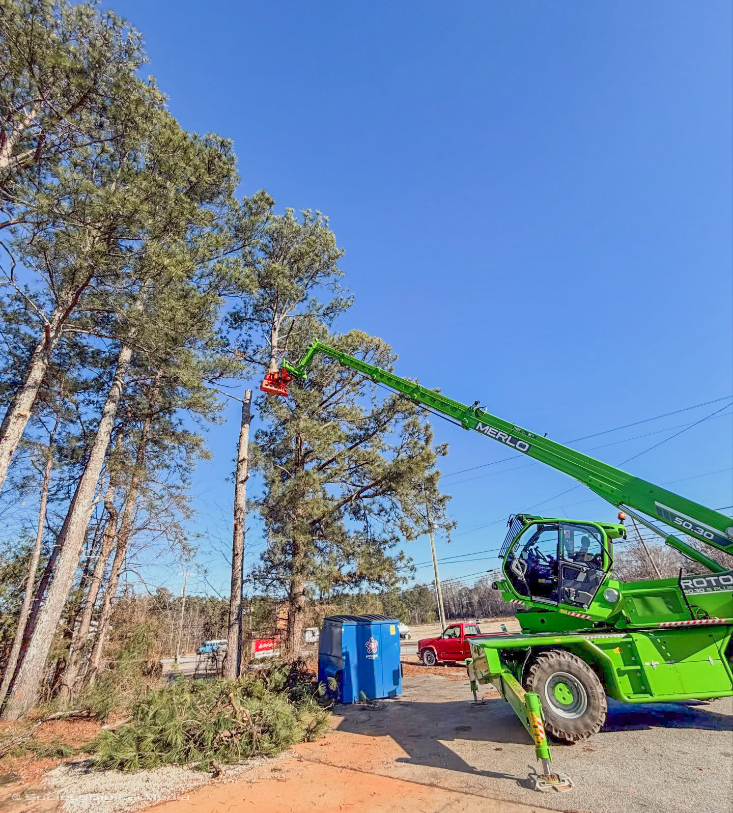 Tree service completed — hazardous tree removed