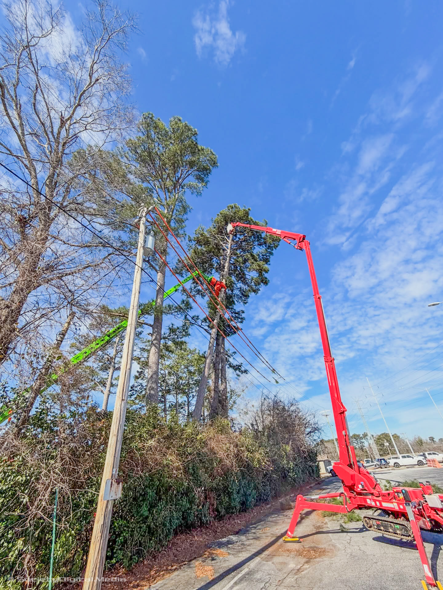 Tree trimming in Greenwood SC