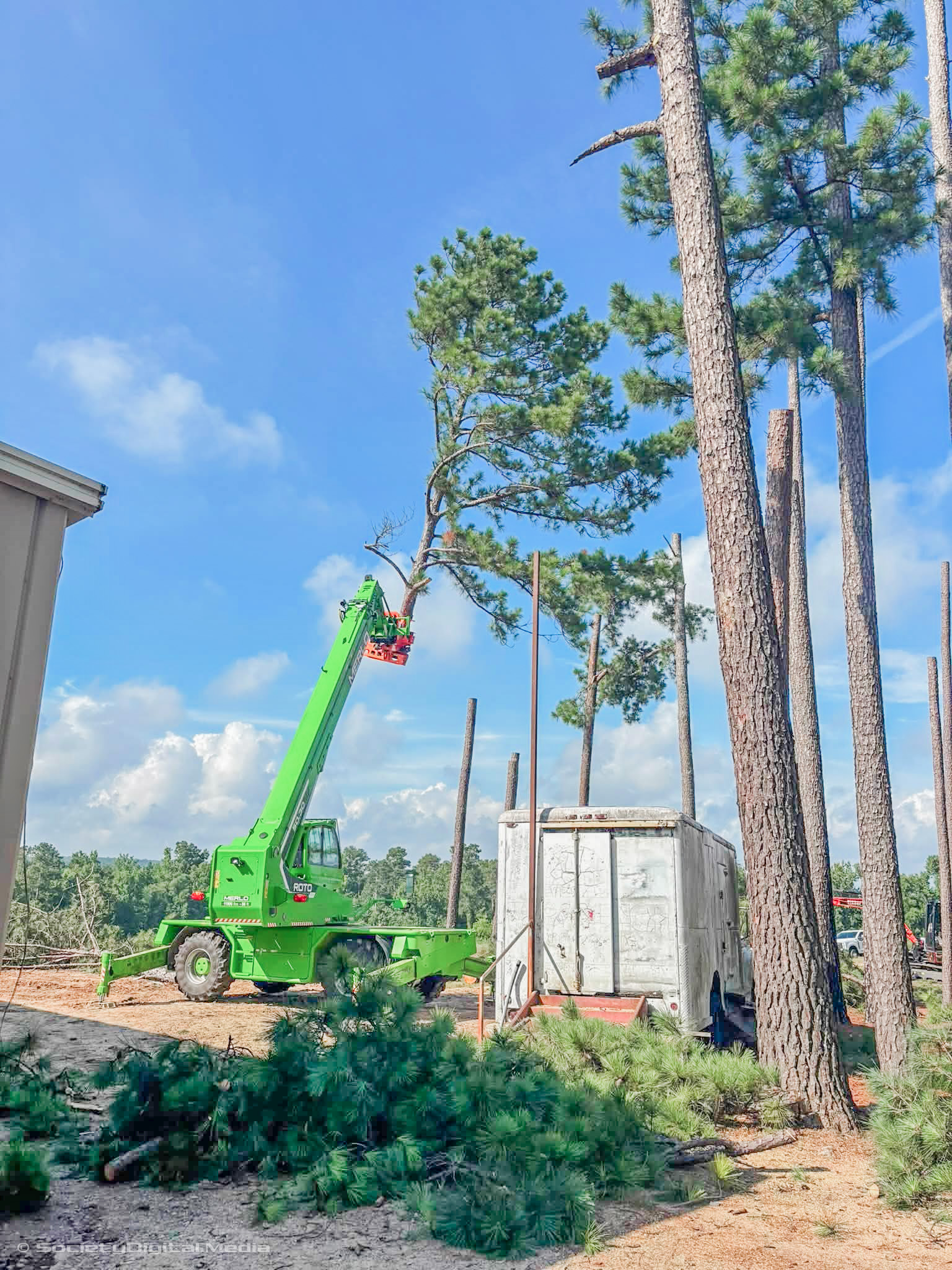 Tree removal project in Greenwood, SC