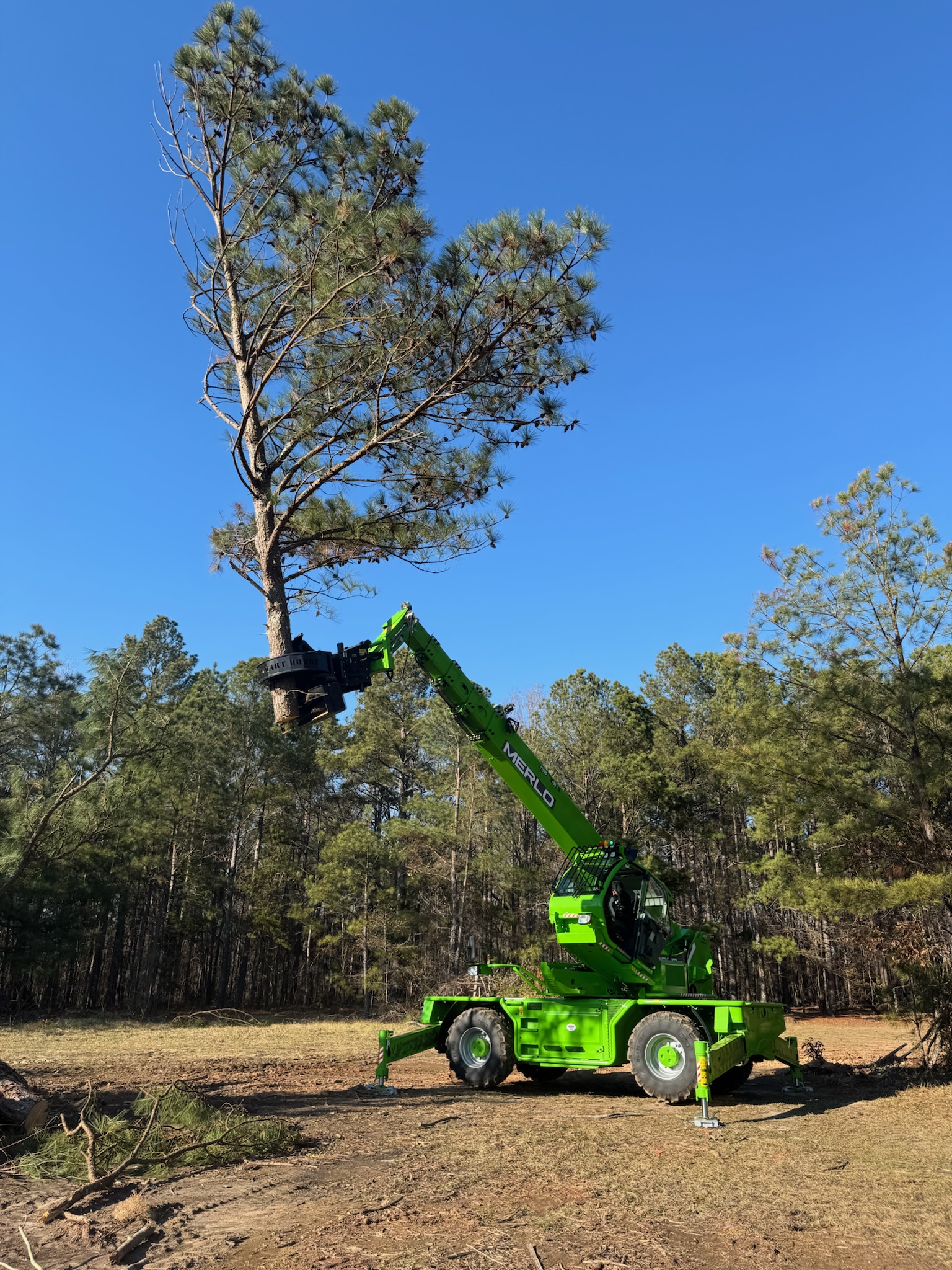 Tree removal in Greenwood SC