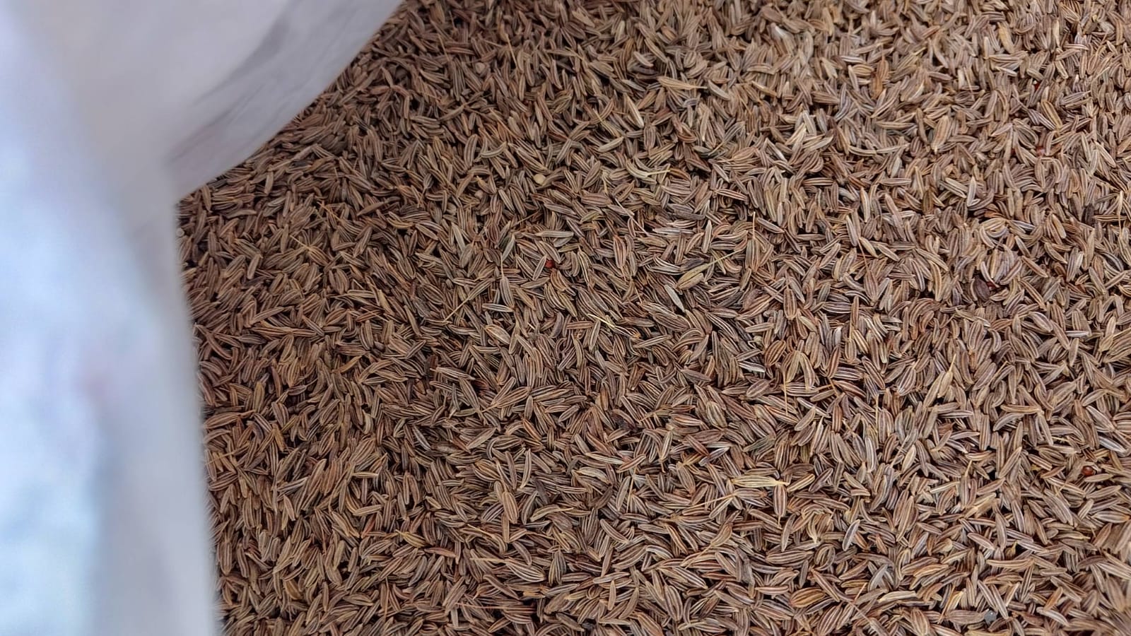 Cumin Seeds