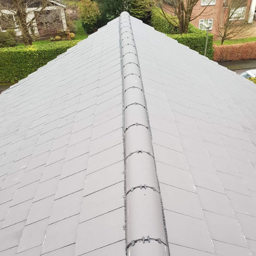 Recent roof project