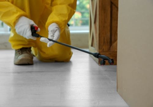 East Lansing Humane Pest Removal