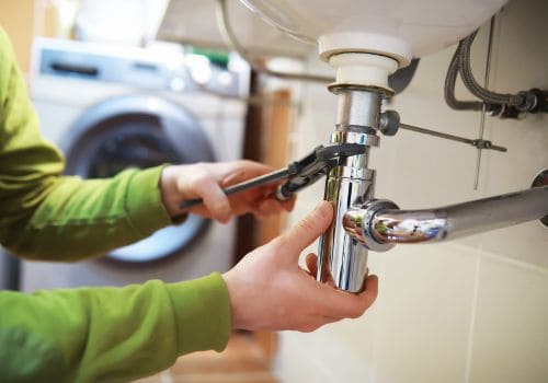  Humane Pest Removal