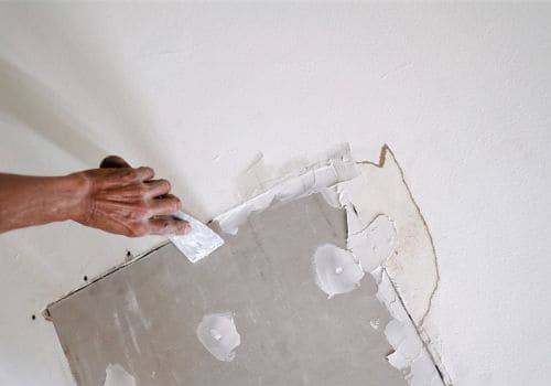  Humane Pest Removal