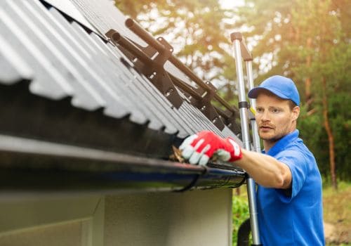  Humane Pest Removal