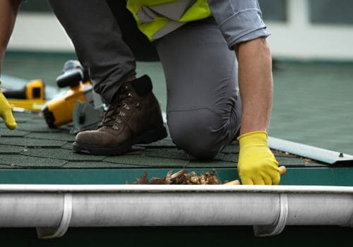  Humane Pest Removal