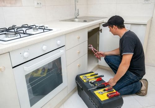 Fowlerville Humane Pest Removal