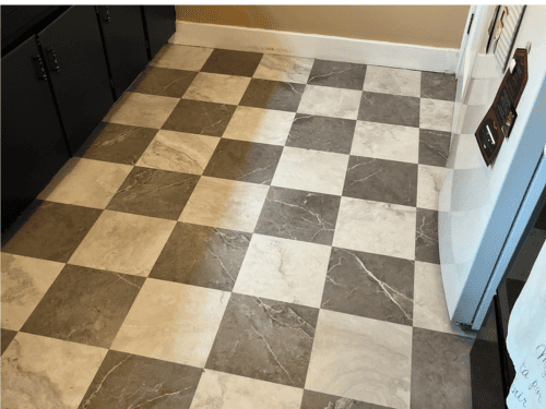 Humane Pest Removal Lansing
