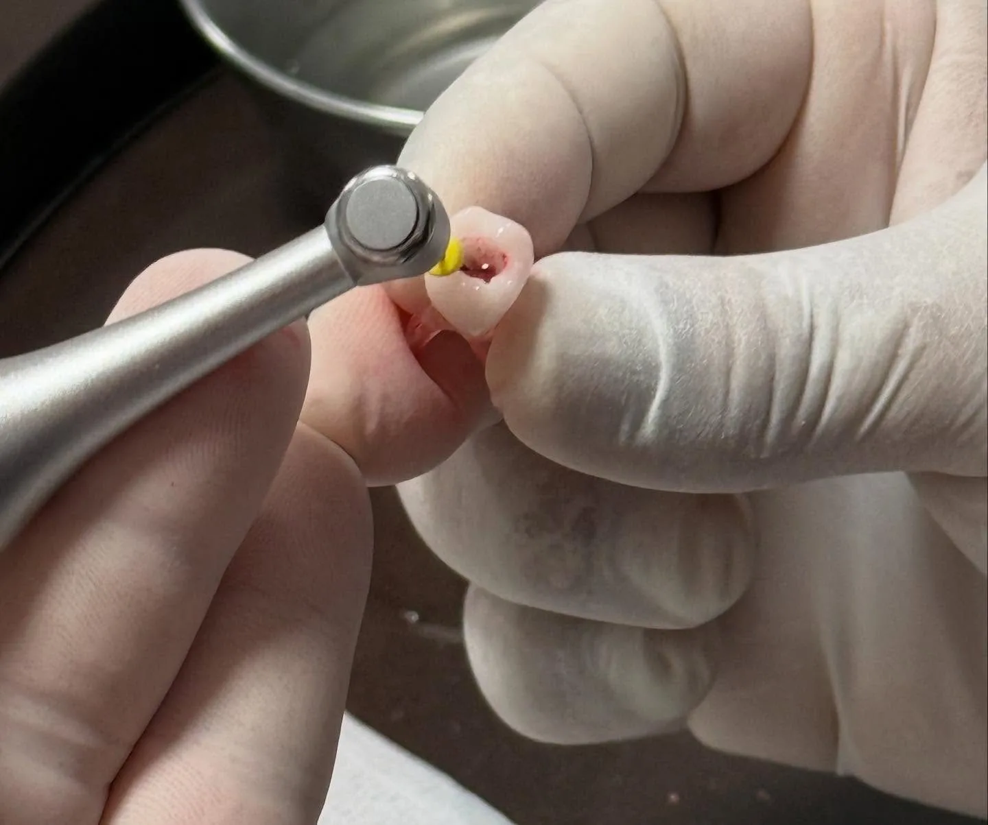 Turma 1 da Especialização em Odontopediatria em aula prática