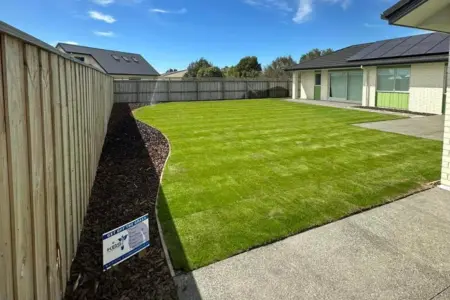 Newly Laid Ready Lawn in Selwyn District