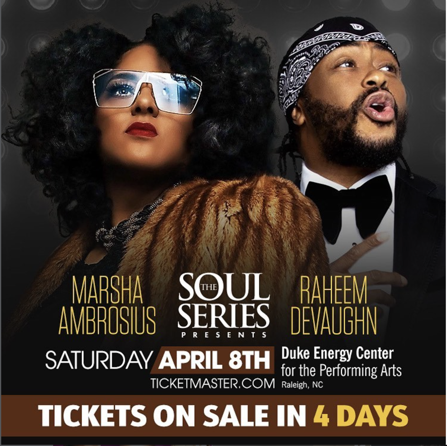 The Soul Series Presents: Marsha Ambrosius & Raheem DeVaughn album cover