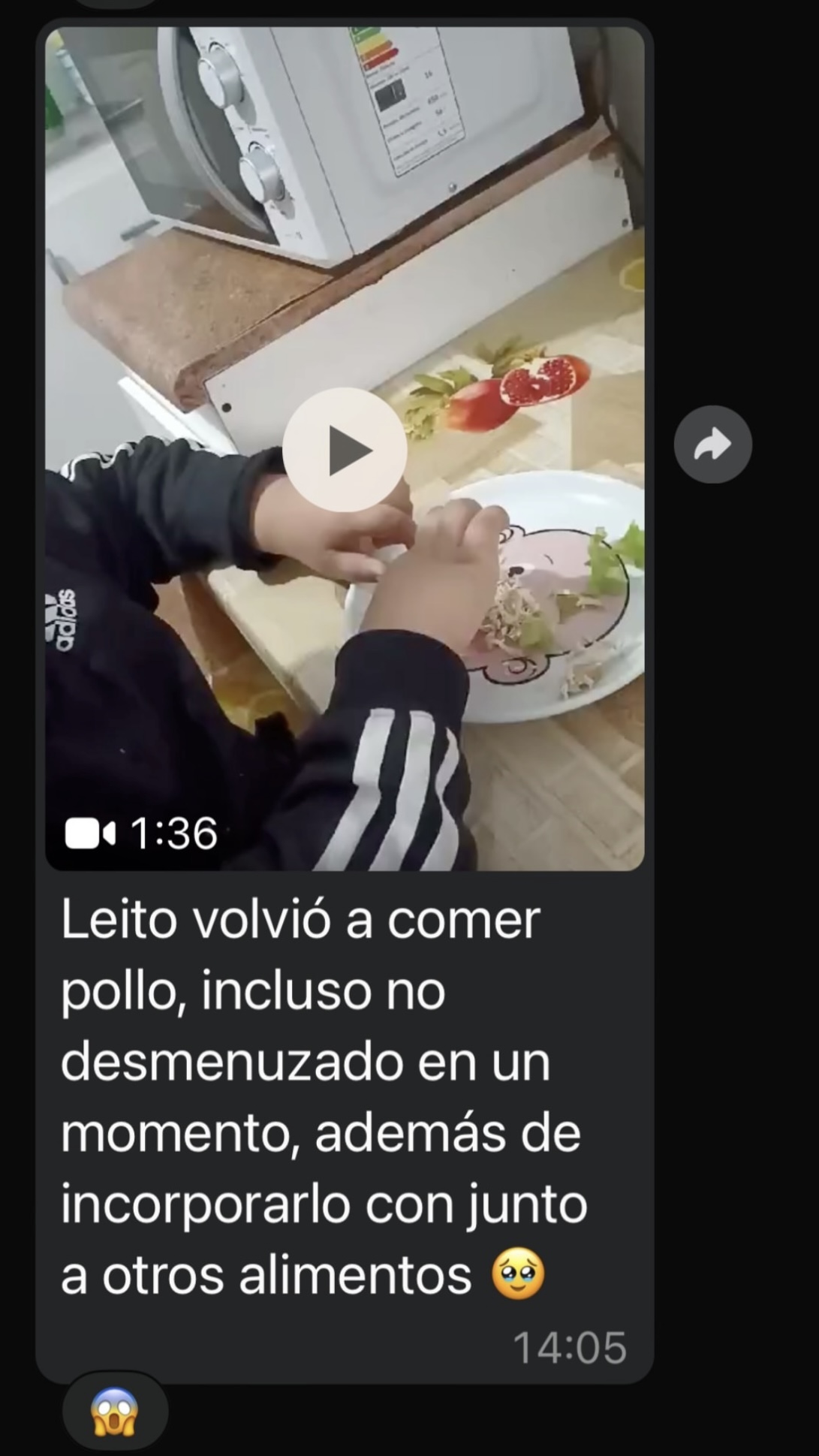 Mensaje de WhatsApp sobre Leito: volvió a comer pollo, incluso no desmenuzado