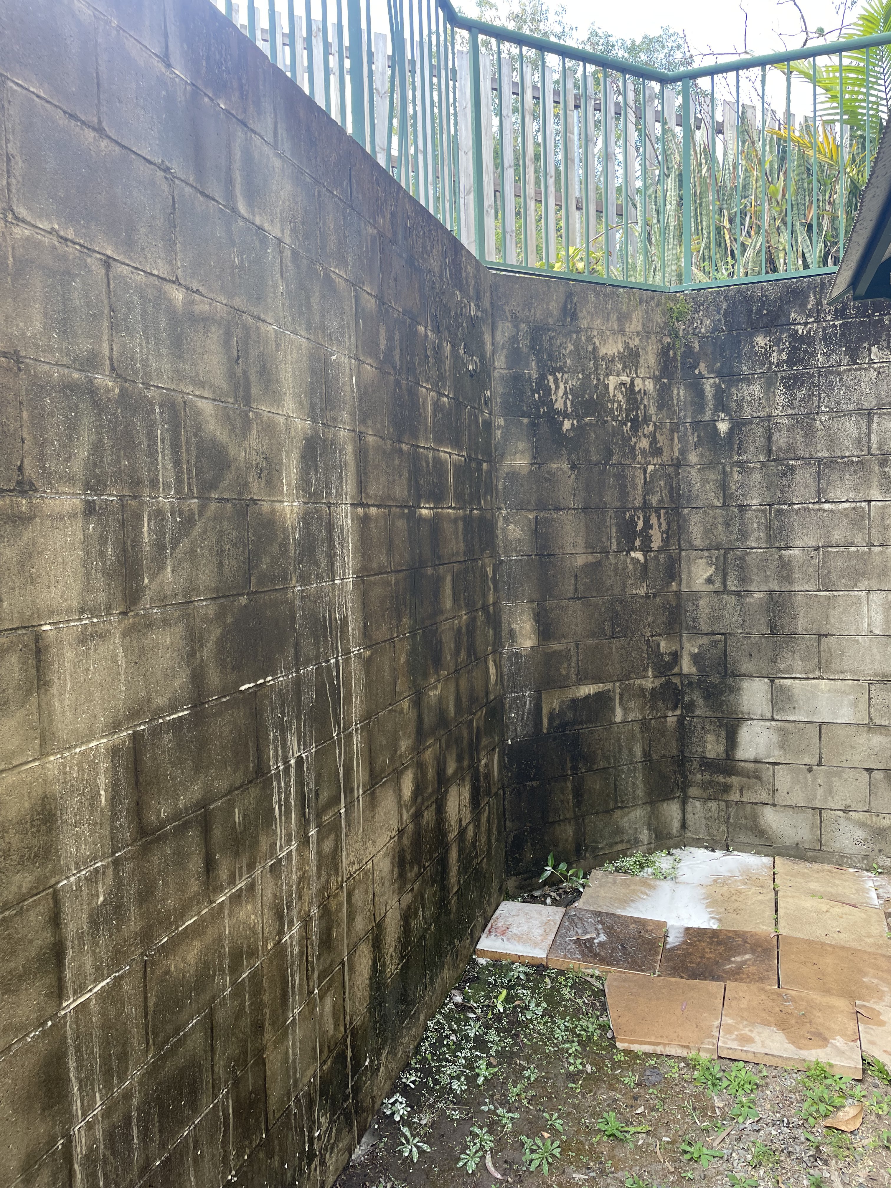 Exterior wall before softwash