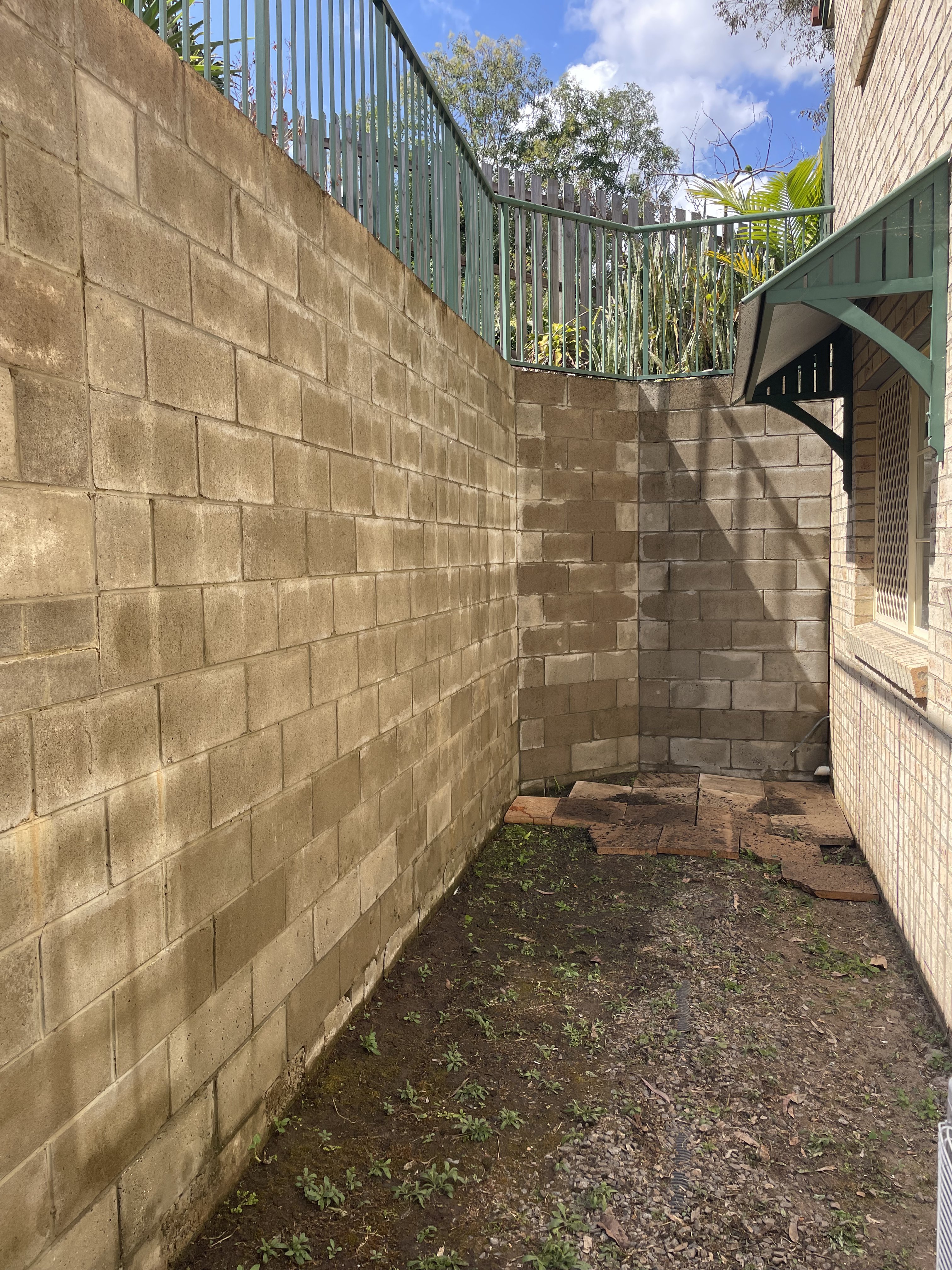 Exterior wall after softwash