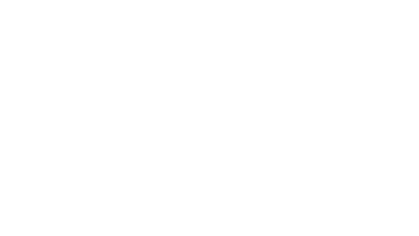 The Balance Institute
