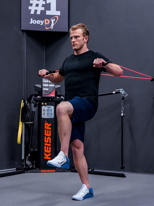 single leg standing press