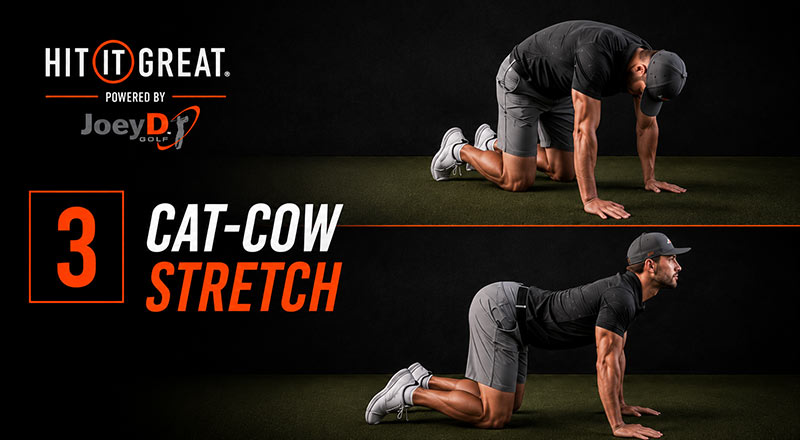man doing cat cow stretch