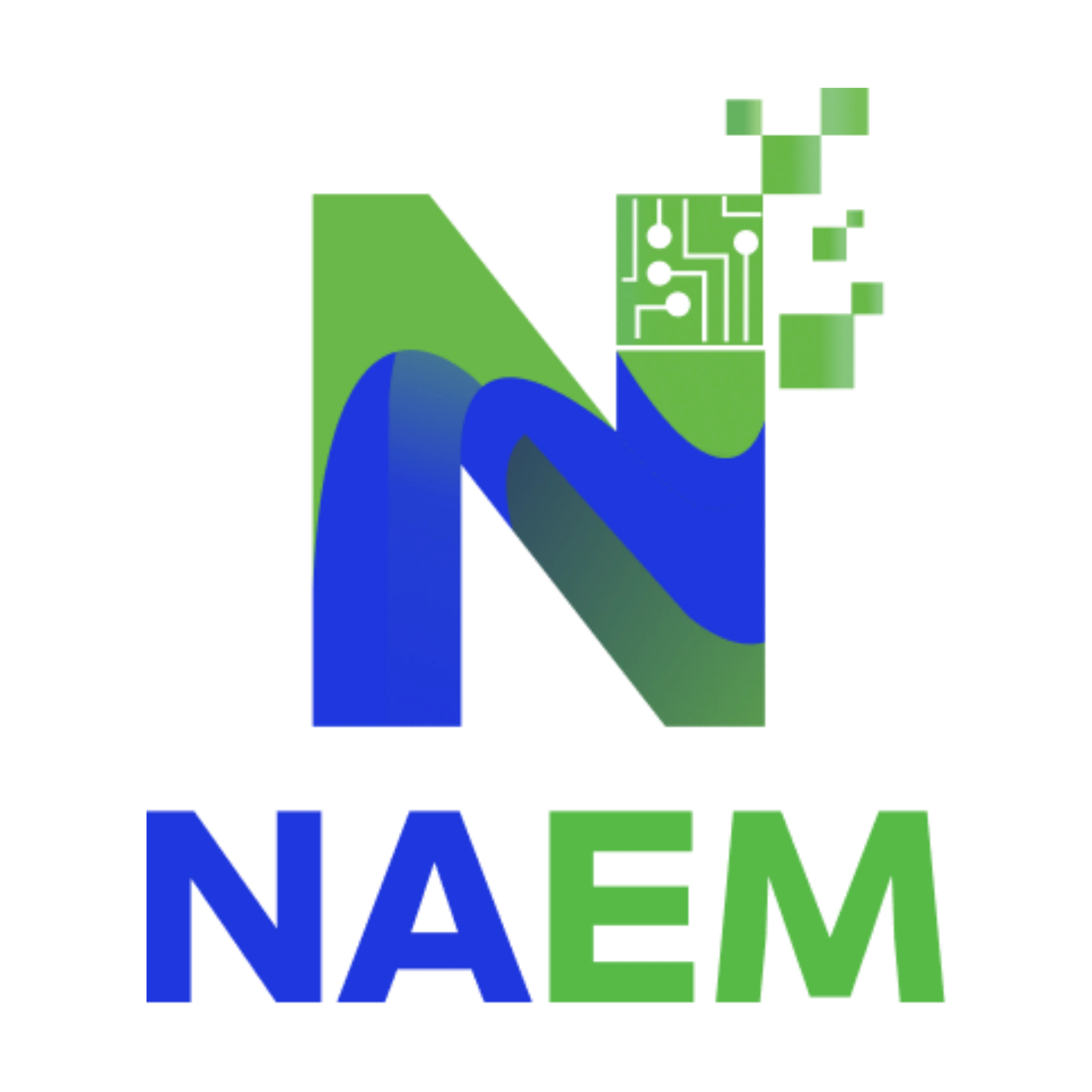 NAEM Logo