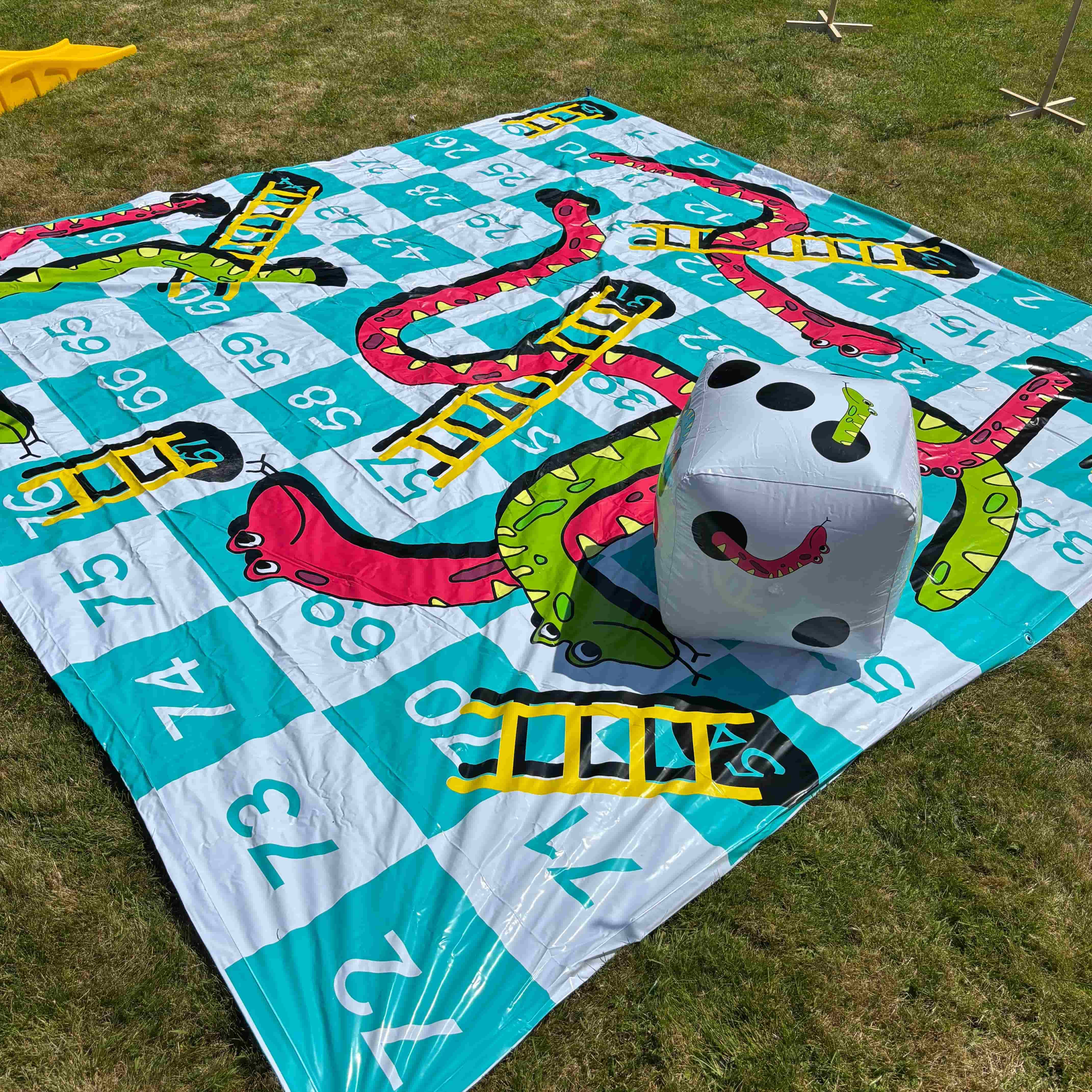 Giant Snakes and Ladders game