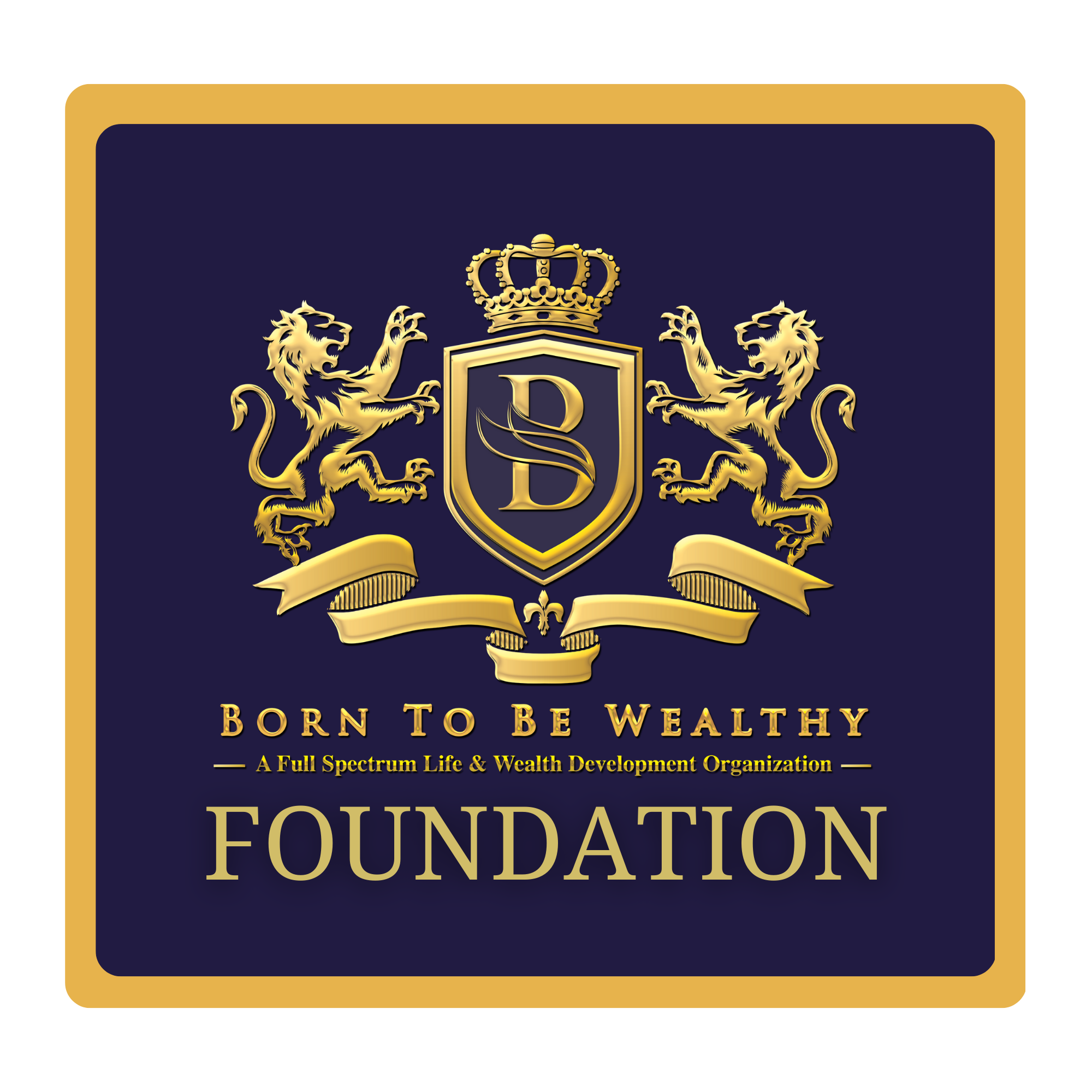 Born To Be Wealthy Foundation logo