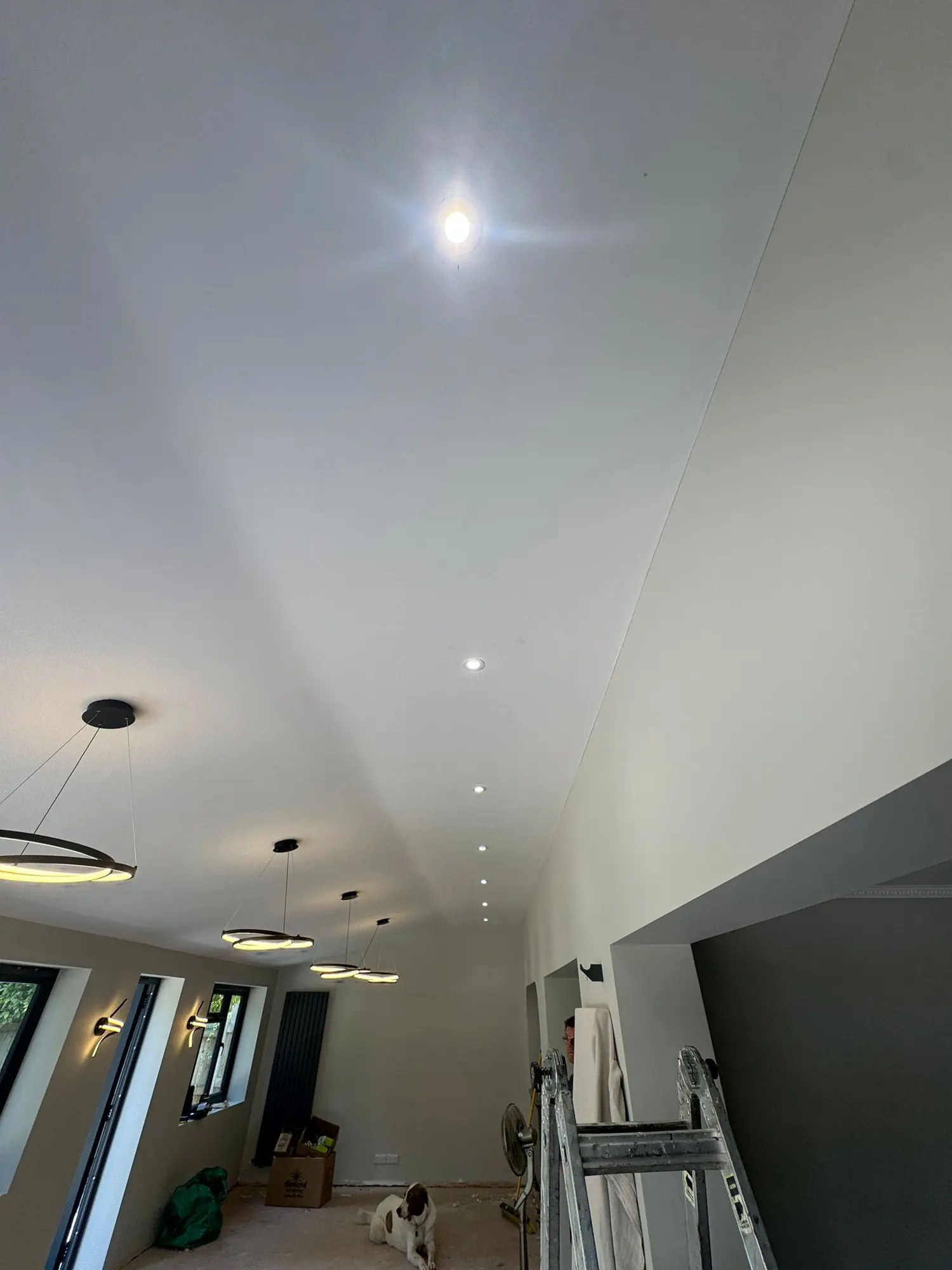 Vaulted ceiling with downlights set out to the ridge