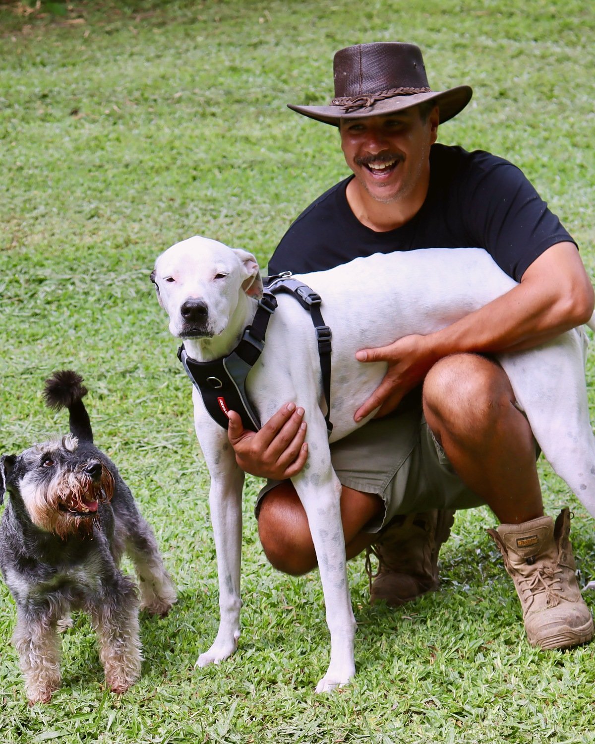 Marc, co-founder of Barc for Pets, with a white dog and a schnauzer