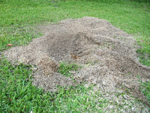 Wood Chip Clean Up & Hauling in Wichita