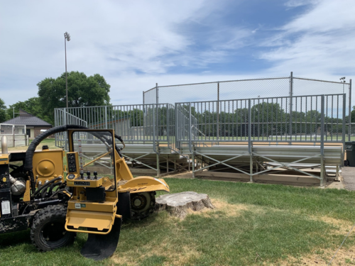 Commercial Stump Grinding in Wichita