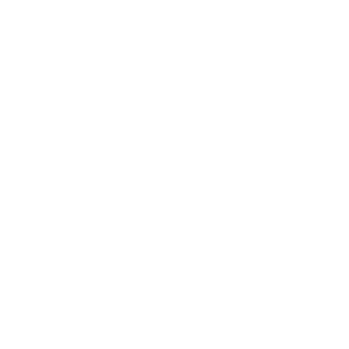 Icon von einer Kamera
