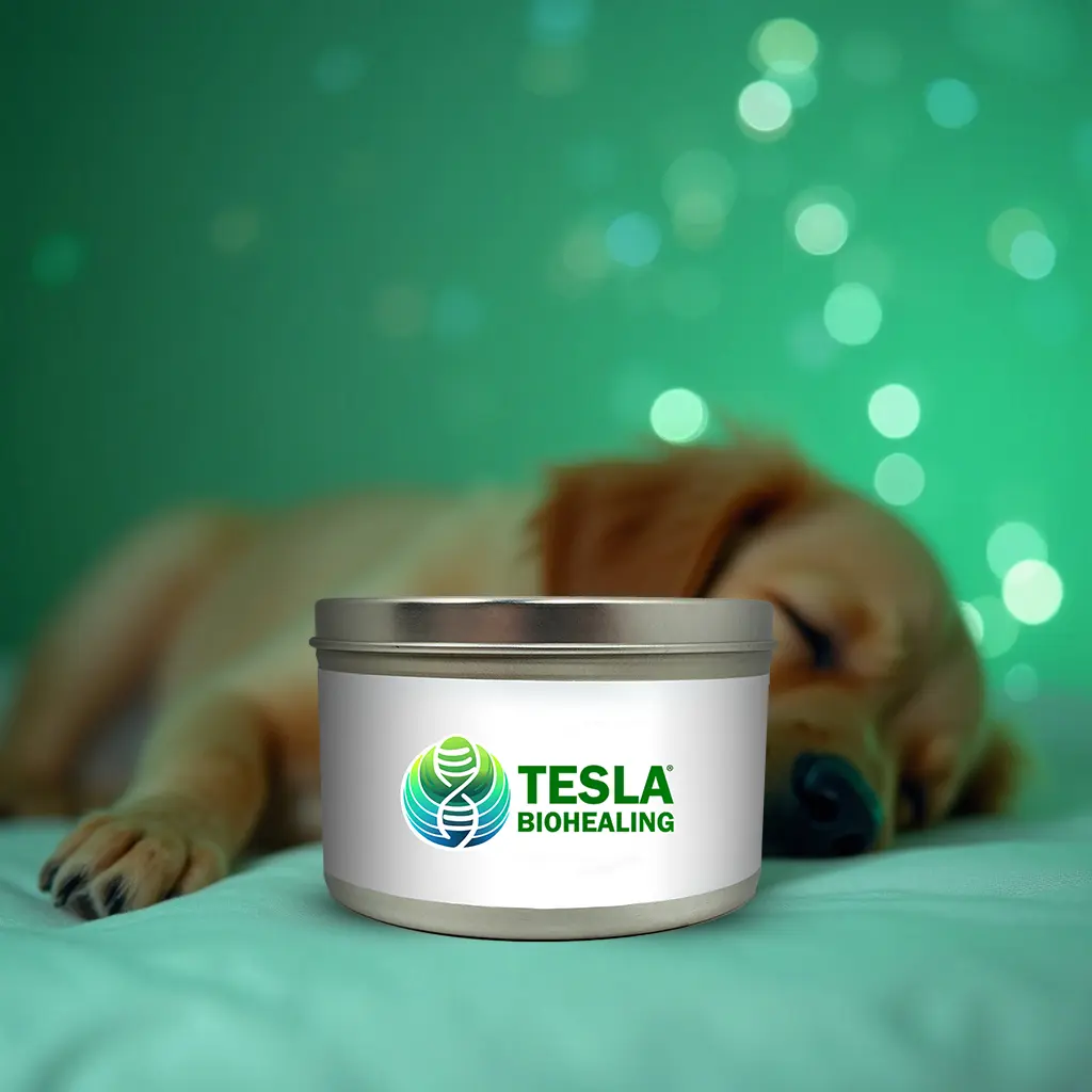 Tesla BioHealer™ for Pets thumbnail 3