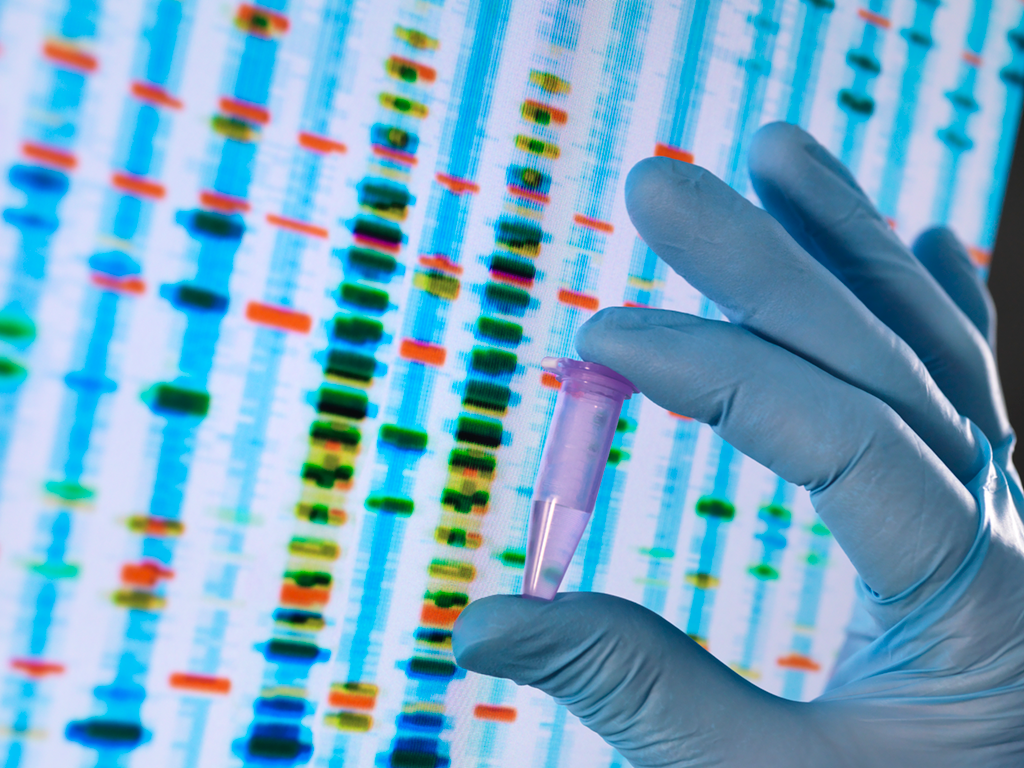 Genetic markers on a screen