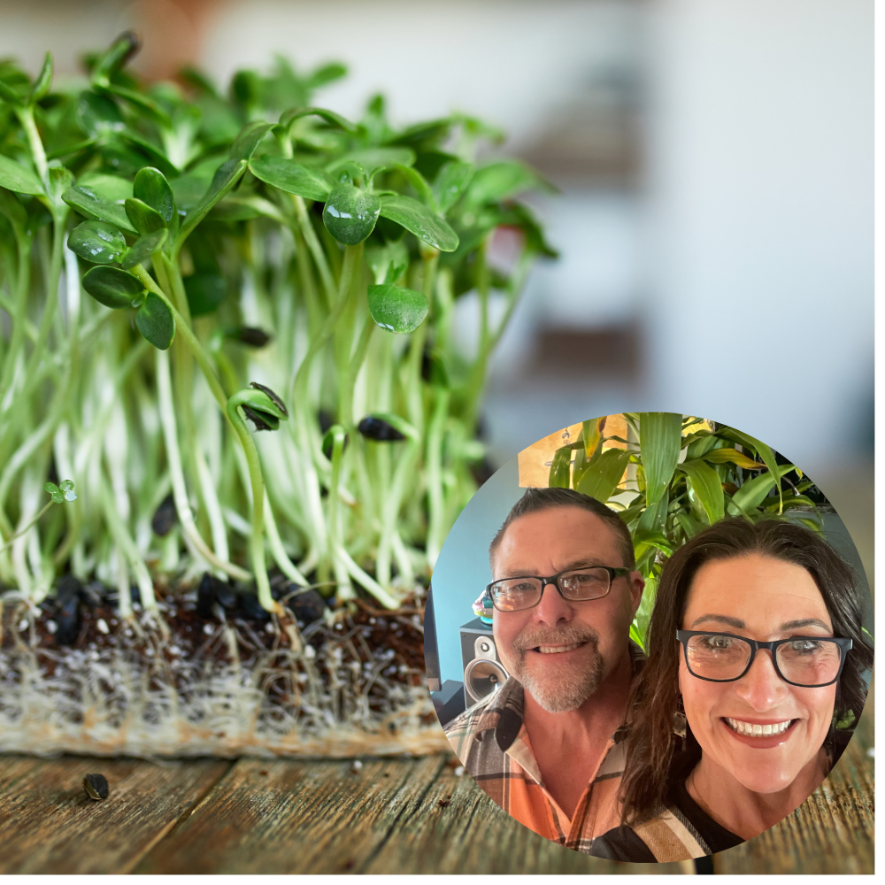 Nourish and Flourish Microgreens - Business Photo
