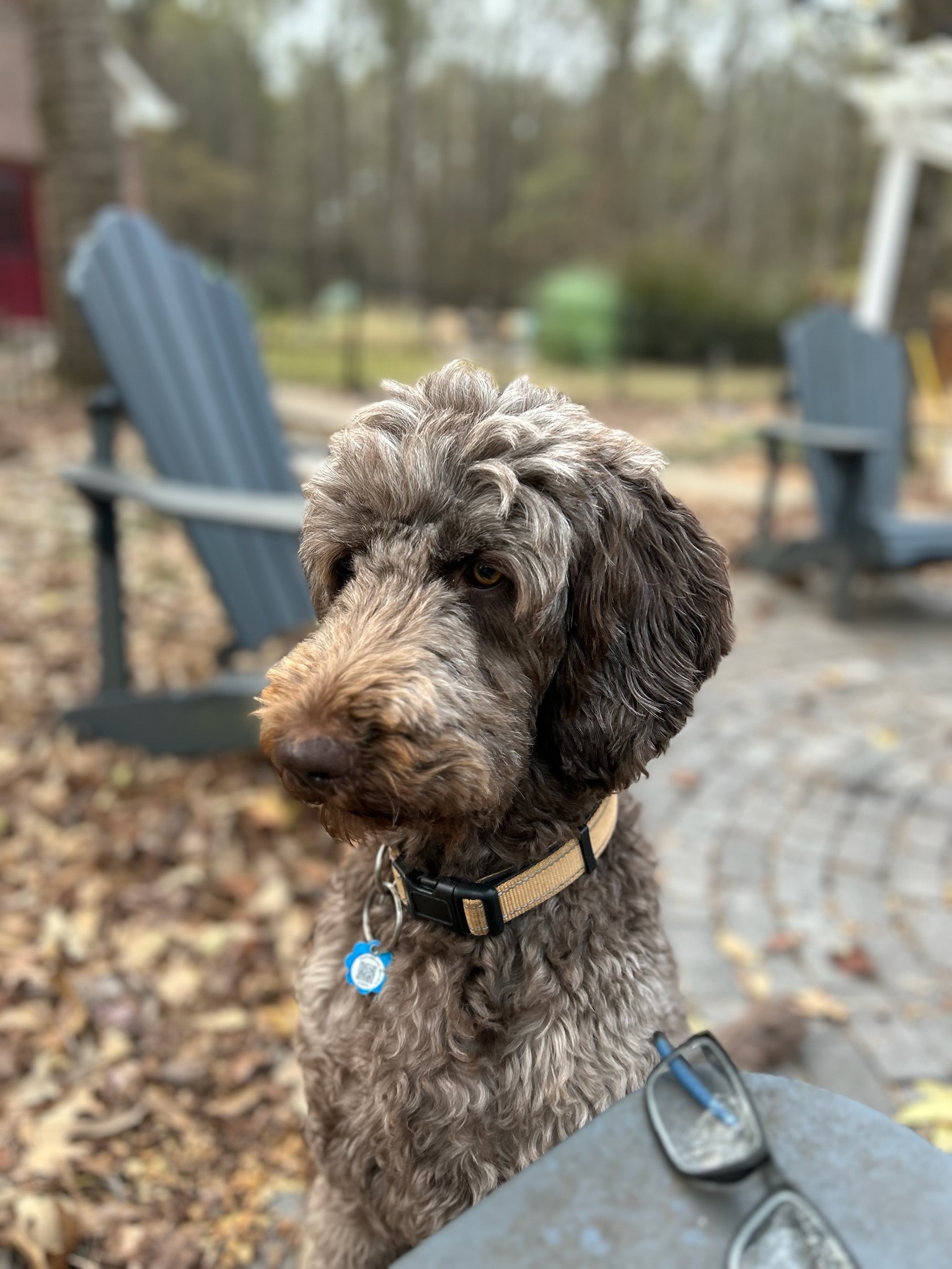 Full Groom Fayetteville