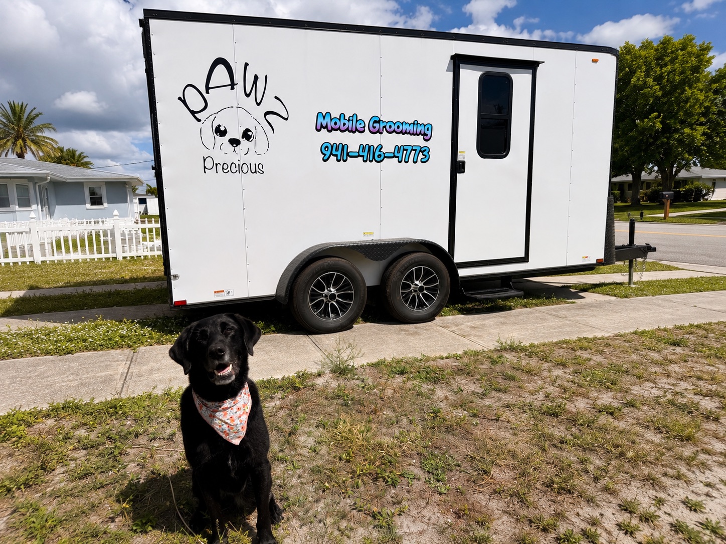 Mobile Dog Grooming