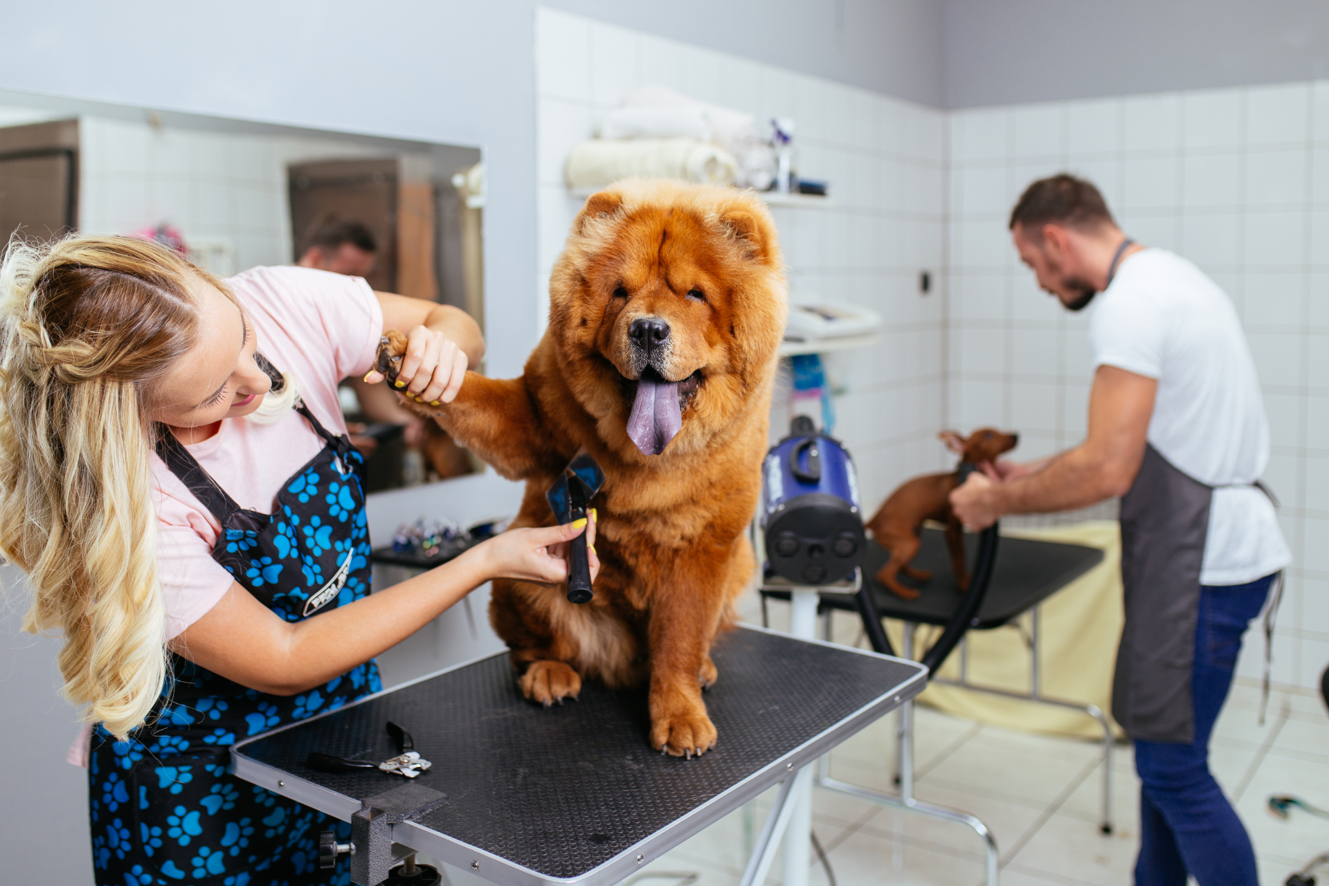 Full Groom