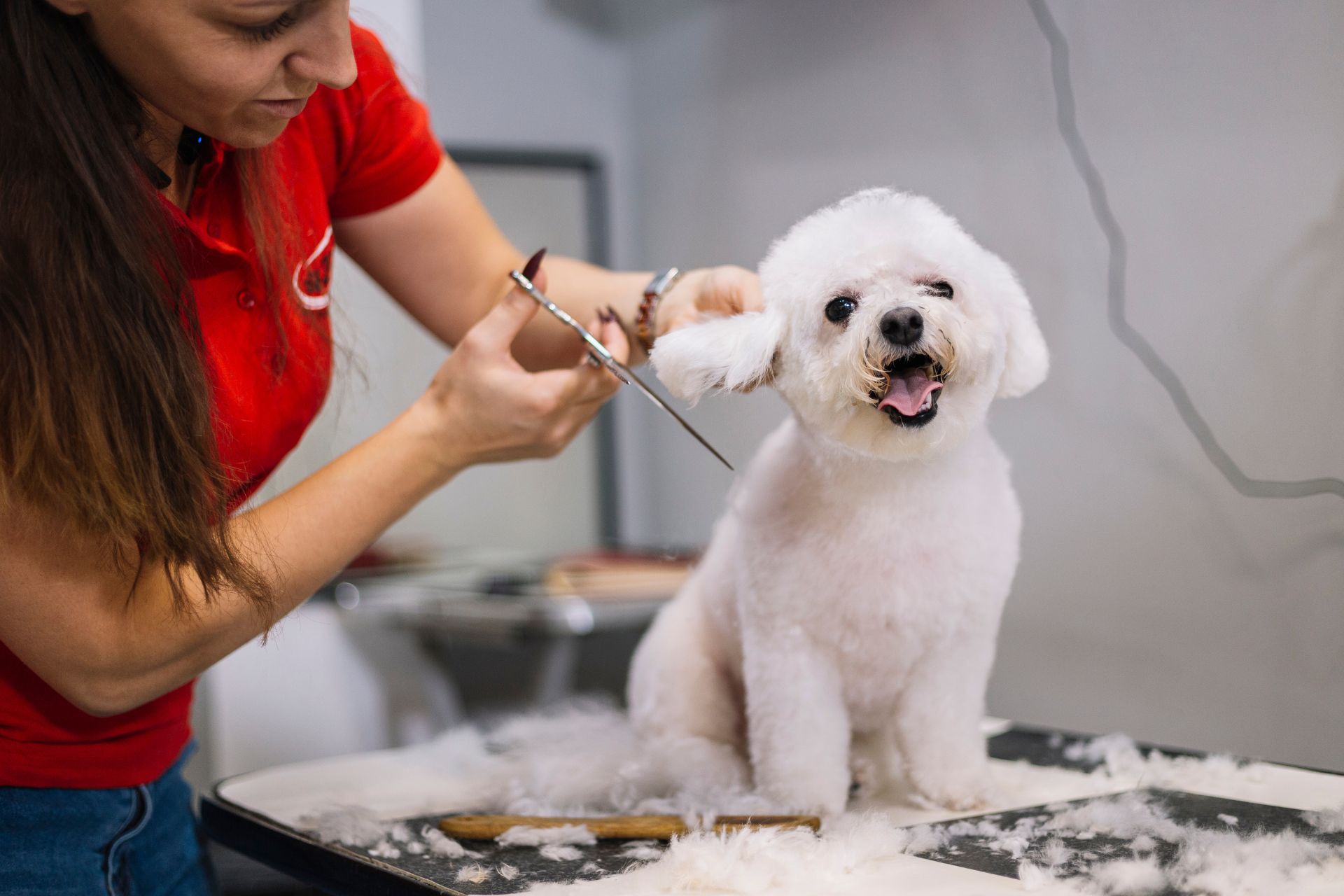 Ear Cleaning