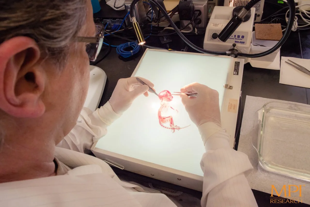 A gloved technician in a lab coat works over a lit inspection box with fine tools.