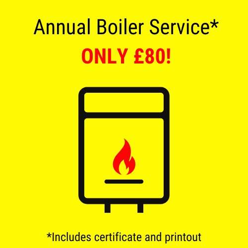 Annual boiler service only £80